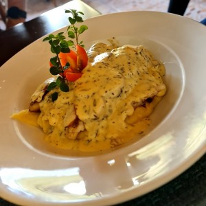 Corvina disfrazada