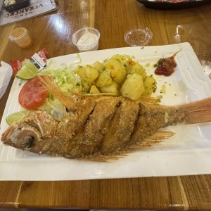 DEL MAR - Pargo rojo frito