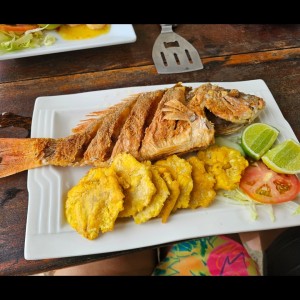 DEL MAR - Pescado