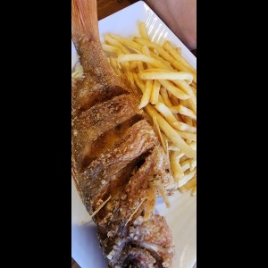 pargo rojo