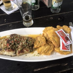 Filete de congrio importado al ajillo
