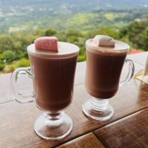Chocolate con malvas