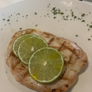 Pollo