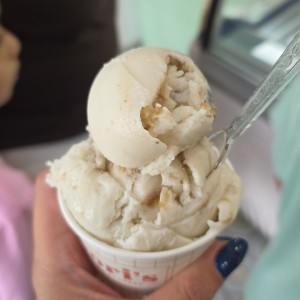 Vegan chunky monkey 