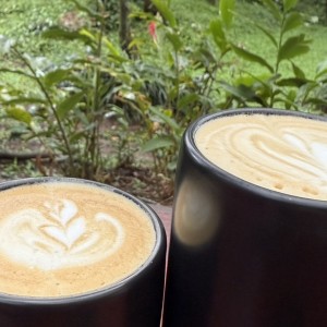 Capuchino y Latte