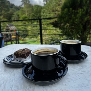 Americano variedad typica