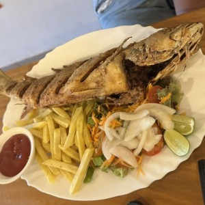 Corvina frita 