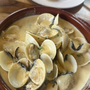 Almejas en salsa Blanca