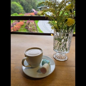 chocolate caliente con malva