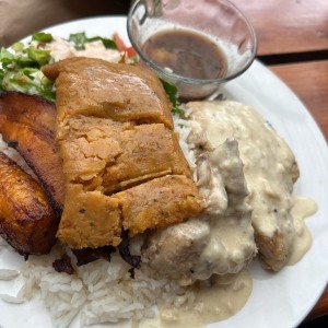 Pollo