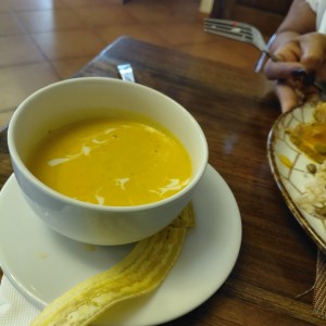 sopa