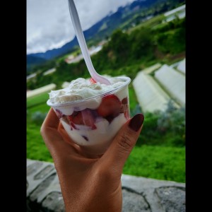 Fresas con crema 