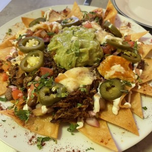 Nachos de birria