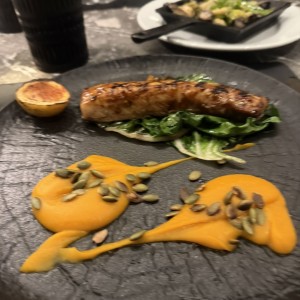 Cobia