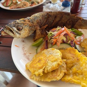 Pesca y mar