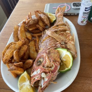Pargo rojo