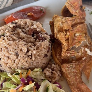 pescado frito con arro bocatoreño (rice and beans)