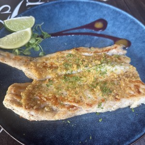 Corvina al Criolla / Ajillo / Finas Hiervas