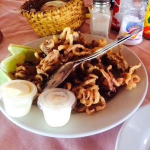 Calamari