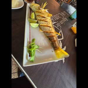 PESCADOS-FISH - Corvina frita