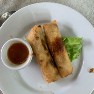 Rollos primavera rellenos de hongos Portobello, cebollina y zanahoria