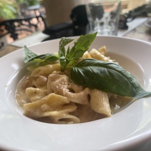 Penne con crema de Chayote y Queso Gratinado