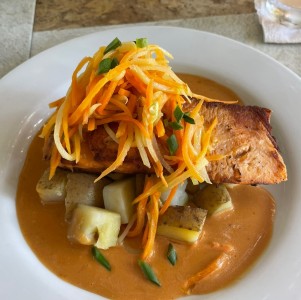 Salmon 