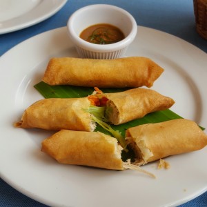 Rollos de primavera de puerco