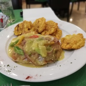 Corvina tropical