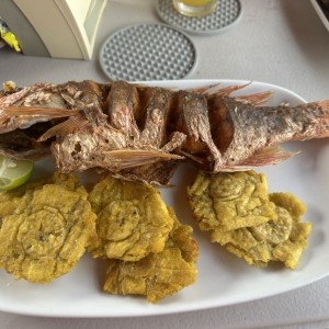 Pargo rojo con patacones