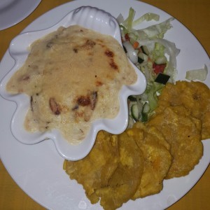 Centollo