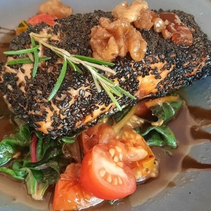 salmon