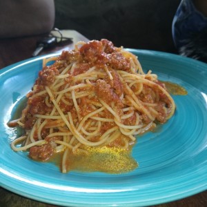 Bolognesa