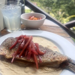 Trucha con cebolla anis y hummus