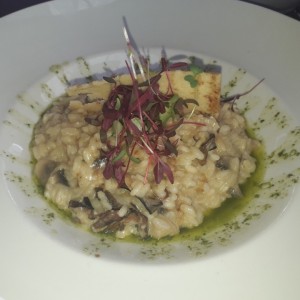 Risotto de Setas Salvajes