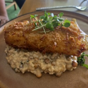 POLLO FRITO CON COCO