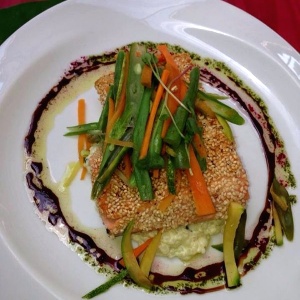 Salmon