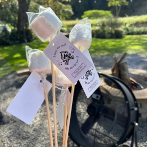 Fire pit