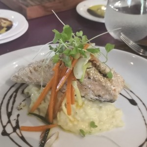 salmon con rissoto de queso