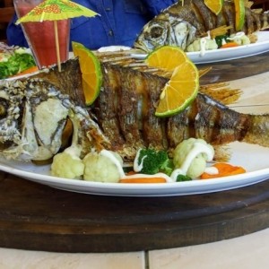 Dorado