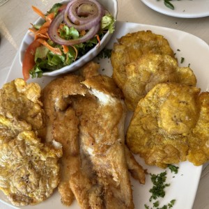 Corvina a la plancha