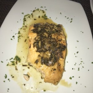 salmon