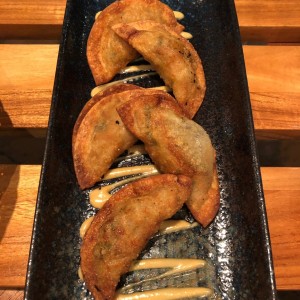 Gyosas De Tasajo
