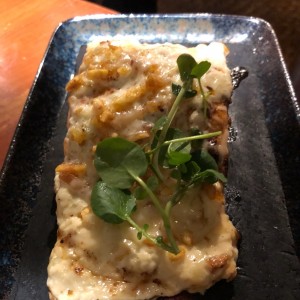 Salmon