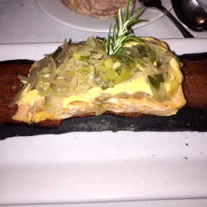 Salmon