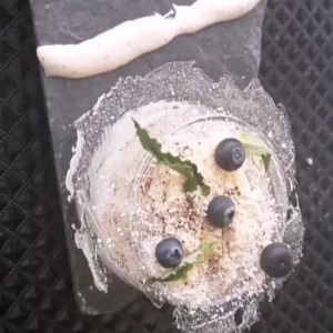 Dessert - PANA COTTA