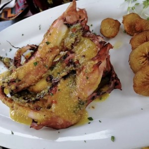 Pulpo 