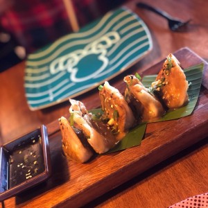 Dumplings de Pollo