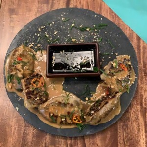 dumplings de pollo