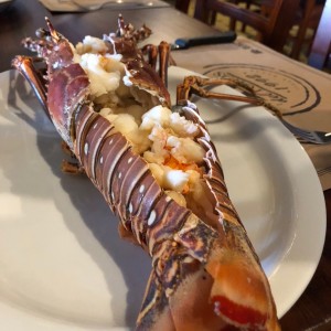 langosta